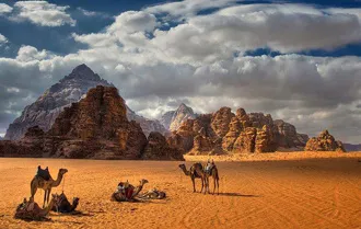 Camels in the Wadi Rum desert